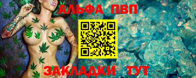 стаф Камень-на-Оби