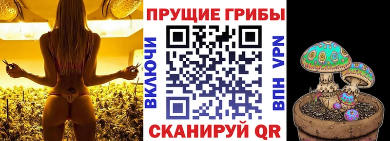 Галлюциногенные грибы Psilocybine cubensis даркнет сайт Апрелевка